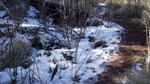 photo thumbnail #12