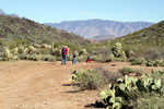 photo thumbnail #4