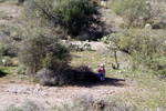 photo thumbnail #5