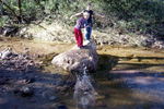 photo thumbnail #15
