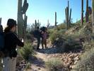 photo thumbnail #2