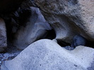 photo thumbnail #11