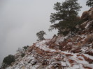 photo thumbnail #7