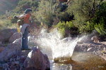 photo thumbnail #4