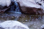 photo thumbnail #10
