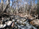 photo thumbnail #5