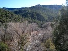 photo thumbnail #10