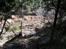 photo thumbnail #12