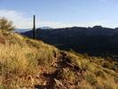 photo thumbnail #10