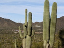 photo thumbnail #12