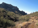 photo thumbnail #9