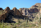 photo thumbnail #12