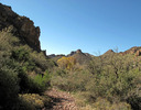 photo thumbnail #14