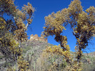 photo thumbnail #15