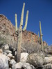 photo thumbnail #6