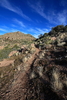 photo thumbnail #7