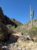 photo thumbnail #2
