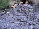 photo thumbnail #3
