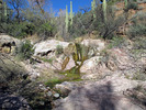 photo thumbnail #5