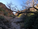 photo thumbnail #12