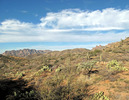 photo thumbnail #1