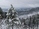 photo thumbnail #8