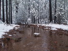 photo thumbnail #12