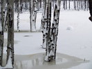 photo thumbnail #15