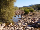 photo thumbnail #1