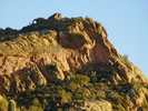 photo thumbnail #4
