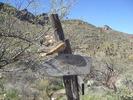 photo thumbnail #15