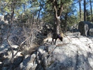 photo thumbnail #3