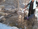 photo thumbnail #5