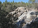 photo thumbnail #6