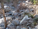 photo thumbnail #8