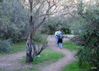 photo thumbnail #7