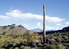 photo thumbnail #11