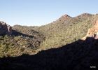 photo thumbnail #13