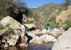 photo thumbnail #15