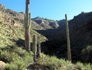 photo thumbnail #5