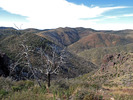 photo thumbnail #8