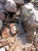 photo thumbnail #15