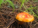 photo thumbnail #9