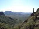 photo thumbnail #1