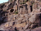 photo thumbnail #1