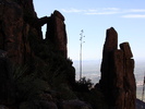 photo thumbnail #10