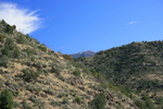 photo thumbnail #9