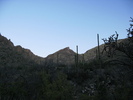 photo thumbnail #7