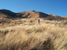 photo thumbnail #2