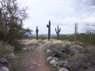 photo thumbnail #1